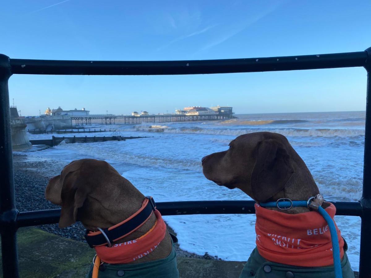 The Red Lion Hotel Cromer Exterior foto Dogs at the pier